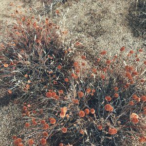 Meet your Posher, Ekaterina